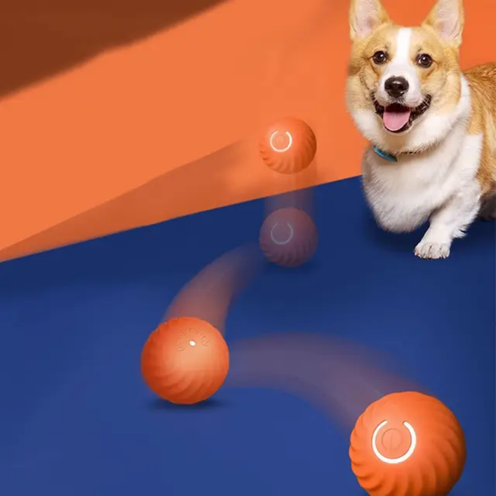 PawsPlay SmartBounce Ball