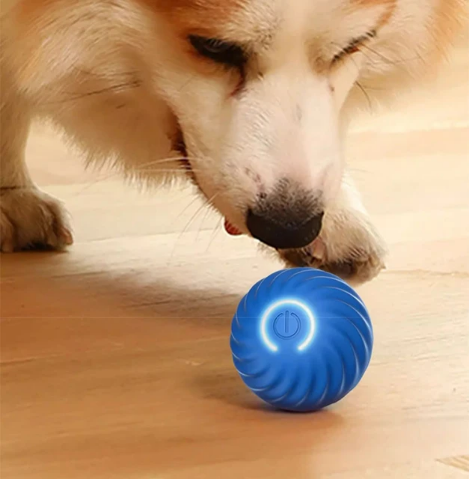 PawsPlay SmartBounce Ball